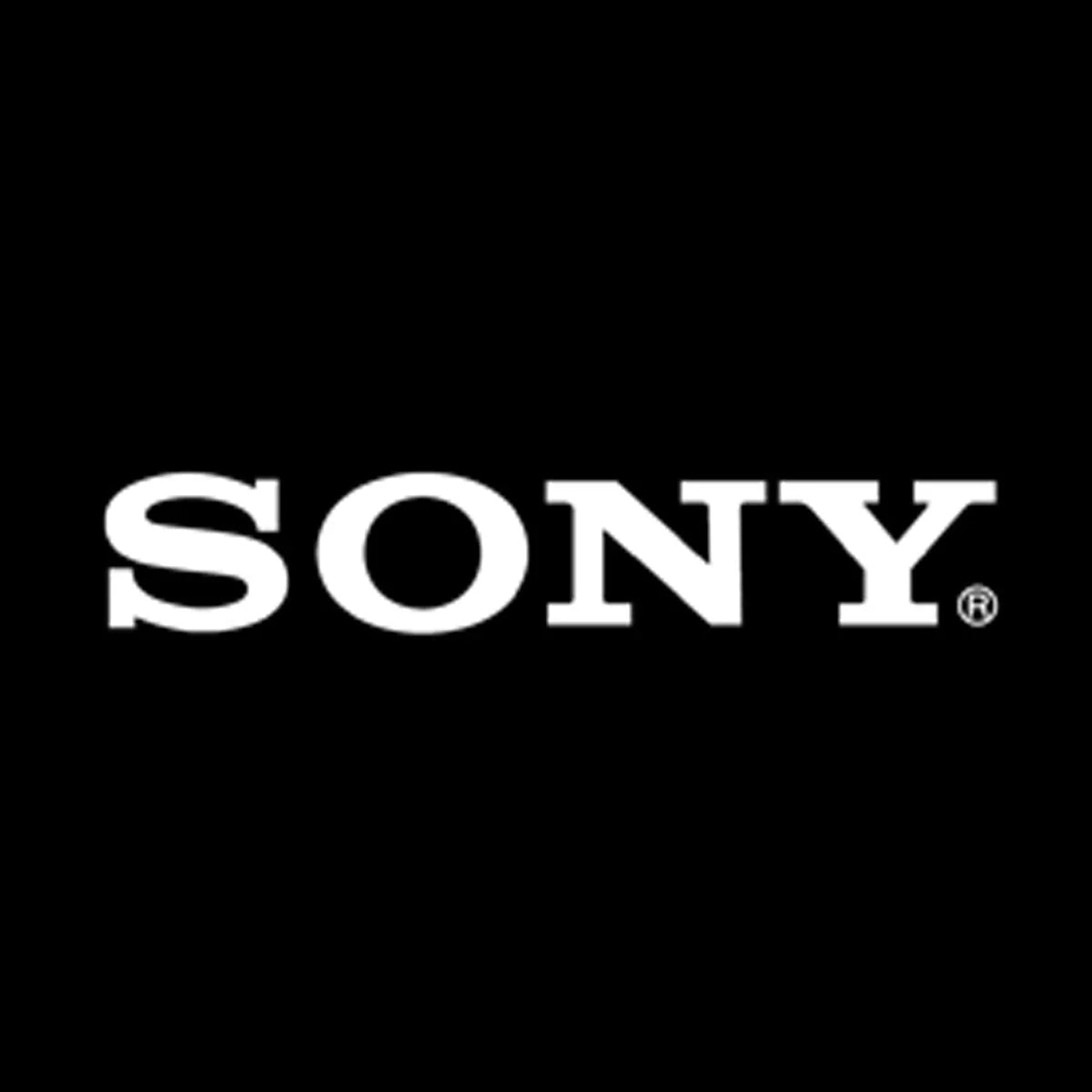 Akkus für Sony