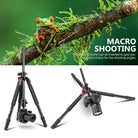 Neewer 79 Inches Aluminum Camera Tripod Monopod